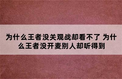 为什么王者没关观战却看不了 为什么王者没开麦别人却听得到